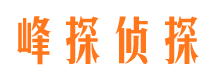 佛坪市婚外情调查